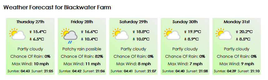 5 day forecast